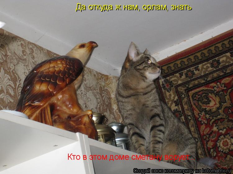 Да откуда ж нам, орлам, знать Кто в этом доме сметану ворует...... Котоматрица: Да откуда ж нам, орлам, знать Кто в этом доме сметану ворует...