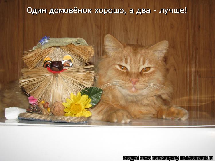 Один домовёнок хорошо, а два - лучше!... Котоматрица: Один домовёнок хорошо, а два - лучше!