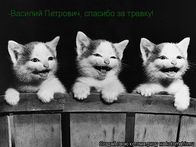 -Василий Петрович, спасибо за травку!... Котоматрица: -Василий Петрович, спасибо за травку!
