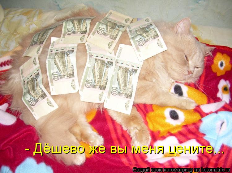 - Дёшево же вы меня цените...... Котоматрица: - Дёшево же вы меня цените...