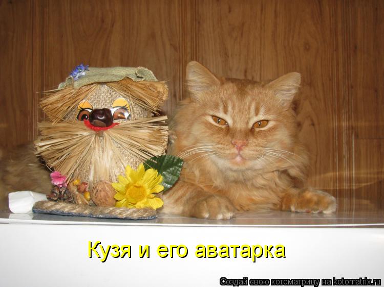 Кузя и его аватарка... Котоматрица: Кузя и его аватарка