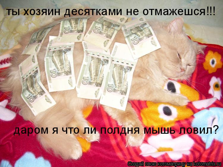 ты хозяин десятками не отмажешся!!! даром я что ли полдня мышь ловил?... Котоматрица: ты хозяин десятками не отмажешся!!! даром я что ли полдня мышь ловил?
