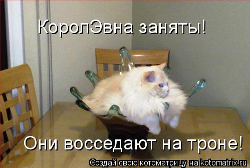 КоролЭвна заняты! Они восседают на троне!... Котоматрица: КоролЭвна заняты! Они восседают на троне!
