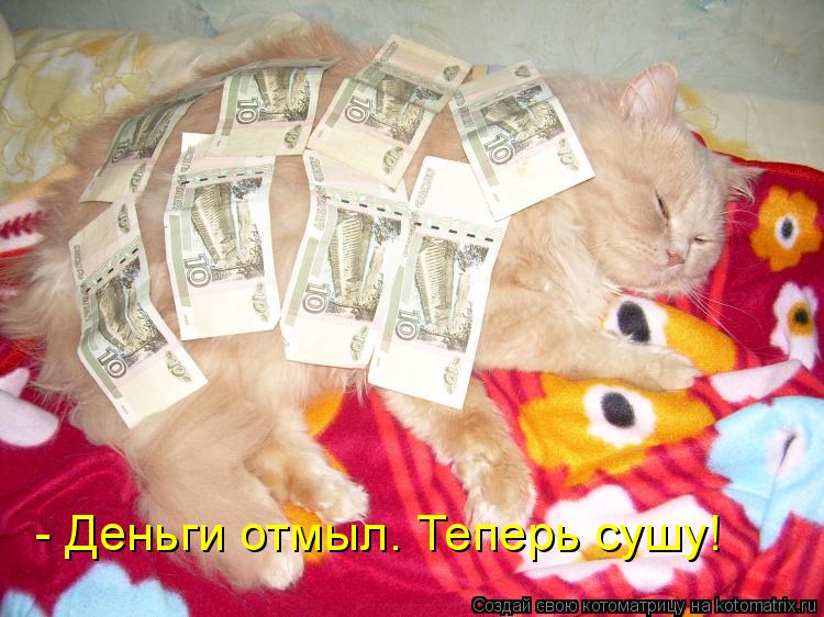 - Деньги отмыл. Теперь сушу!... Котоматрица: - Деньги отмыл. Теперь сушу!