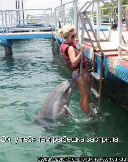 Эй, у тебя там рыбешка застряла..... Котоматрица: Эй, у тебя там рыбешка застряла..