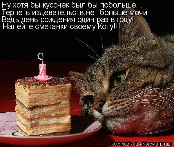 Ну хотя бы кусочек был бы побольше... Терпеть издевательств,нет больше мочи Ведь день рождения один р... Котоматрица: Ну хотя бы кусочек был бы побольше... Терпеть издевательств,нет больше мочи Ведь день рождения один раз в году! Налейте сметанки своему Коту!