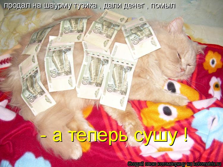 продал на шаурму тузика , дали денег , помыл - а теперь сушу !... Котоматрица: продал на шаурму тузика , дали денег , помыл - а теперь сушу !