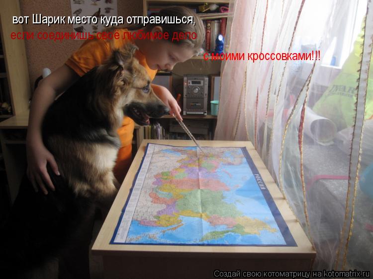 вот Шарик место куда отправишься, если продолжишь свое любимое дело в мои кроссовки вот Шарик место к... Котоматрица: вот Шарик место куда отправишься, если продолжишь свое любимое дело в мои кроссовки вот Шарик место куда отправишься, если соединишь своё л