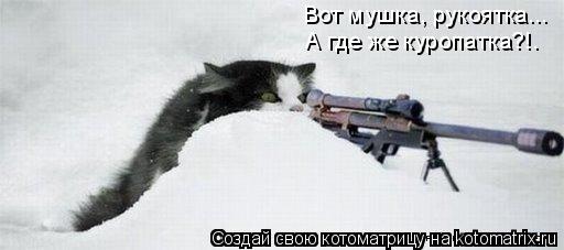 Вот мушка, рукоятка... А где же куропатка?!.... Котоматрица: Вот мушка, рукоятка... А где же куропатка?!.