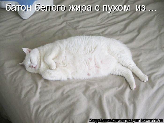 батон белого жира с пухом из ...... Котоматрица: батон белого жира с пухом из ...