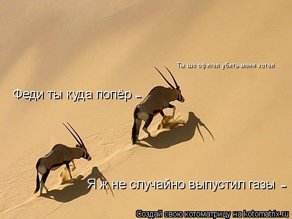 Феди ты куда попёр Я ж не случайно выпустил газы Ты шо офигел убить меня хотел - -... Котоматрица: Феди ты куда попёр Я ж не случайно выпустил газы Ты шо офигел убить меня хотел - -