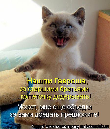 когтеточку додёрывать! Нашли Гавроша, за старшими братьями Может, мне ещё объедки за вами доедать пр... Котоматрица: когтеточку додёрывать! Нашли Гавроша, за старшими братьями Может, мне ещё объедки за вами доедать предложите!