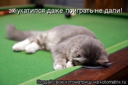 эх укатился даже поиграть не дали!... Котоматрица: эх укатился даже поиграть не дали!