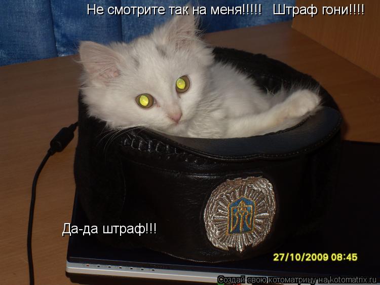 Не смотрите так на меня!!!!! Штраф гони!!!! Да-да штраф!!!... Котоматрица: Не смотрите так на меня!!!!! Штраф гони!!!! Да-да штраф!!!
