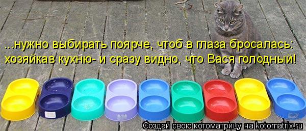 ...нужно выбирать поярче, чтоб в глаза бросалась: хозяйкав кухню- и сразу видно, что Вася голодный!... Котоматрица: ...нужно выбирать поярче, чтоб в глаза бросалась: хозяйкав кухню- и сразу видно, что Вася голодный!
