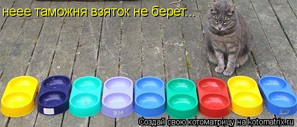 неее таможня взяток не берет...... Котоматрица: неее таможня взяток не берет...