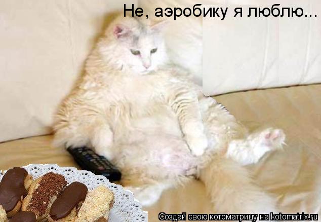 Не, аэробику я люблю...... Котоматрица: Не, аэробику я люблю...