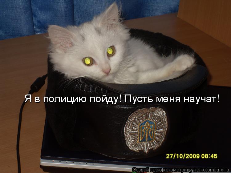 Я в полицию пойду! Пусть меня научат!... Котоматрица: Я в полицию пойду! Пусть меня научат!