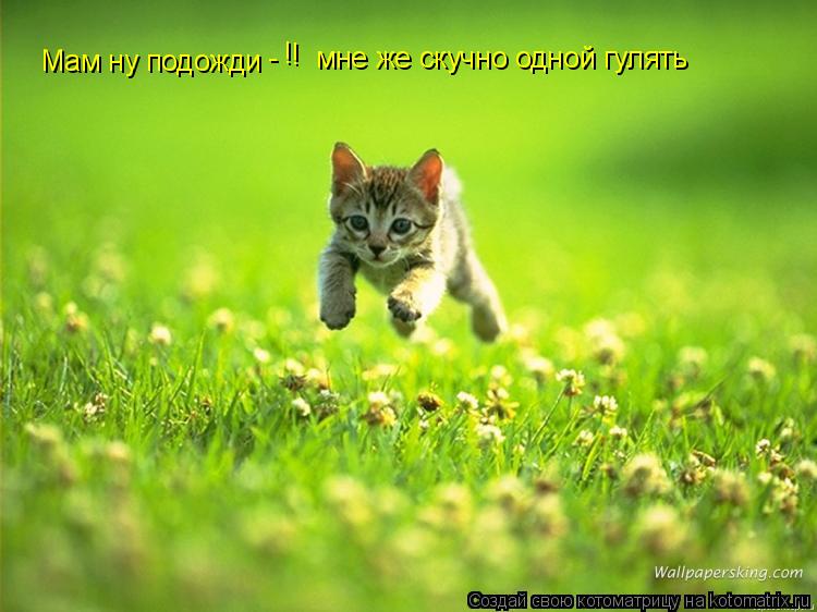 Мам ну подожди мне же скучно одной гулять - ! !... Котоматрица: Мам ну подожди мне же скучно одной гулять - ! !