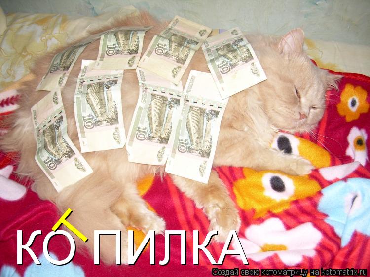 КО ПИЛКА Т... Котоматрица: КО ПИЛКА Т