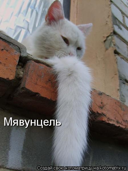 Мявунцель... Котоматрица: Мявунцель