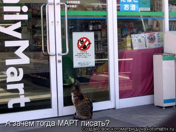 А зачем тогда МАРТ писать?... Котоматрица: А зачем тогда МАРТ писать?