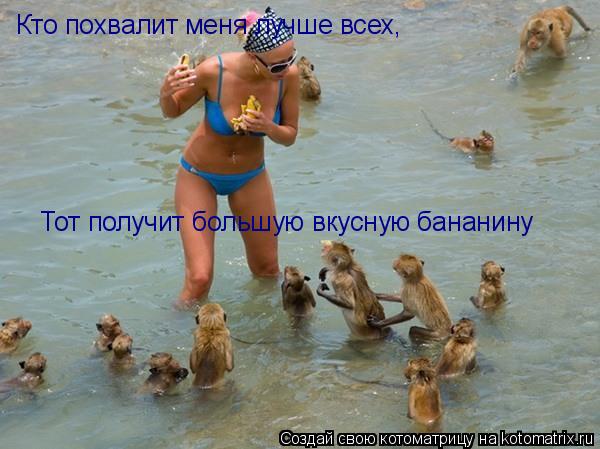 Кто похвалит меня лучше всех, Тот получит большую вкусную бананину... Котоматрица: Кто похвалит меня лучше всех, Тот получит большую вкусную бананину