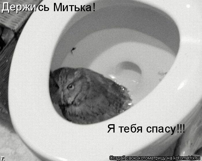 Держи сь Митька! Я тебя спасу!!!... Котоматрица: Держи сь Митька! Я тебя спасу!!!