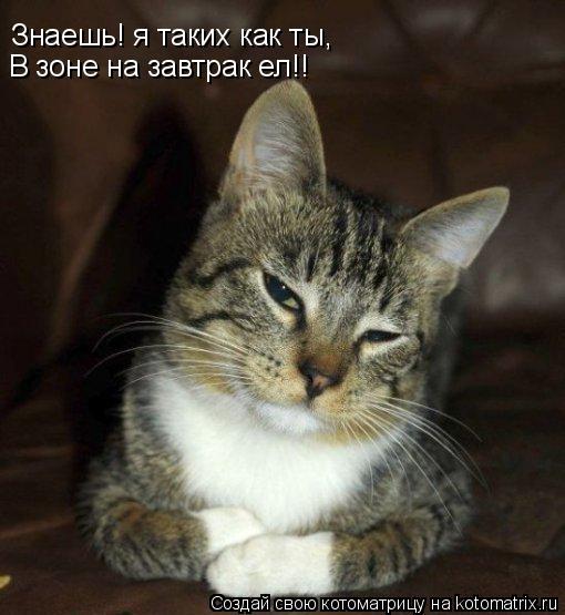 Знаешь! я таких как ты, В зоне на завтрак ел!!... Котоматрица: Знаешь! я таких как ты, В зоне на завтрак ел!!