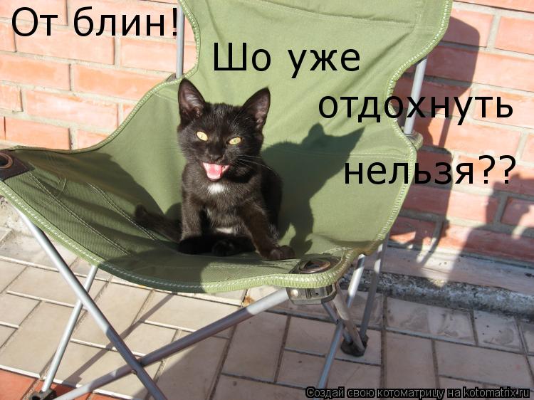 От блин! Шо уже отдохнуть нельзя??... Котоматрица: От блин! Шо уже отдохнуть нельзя??