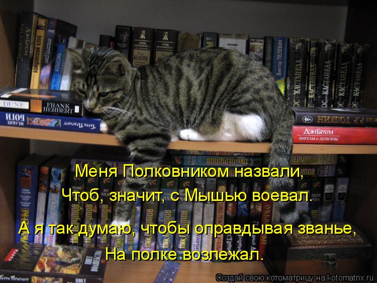Меня Полковником назвали, Чтоб, значит, с Мышью воевал. А я так думаю, чтобы оправдывая званье, На по... Котоматрица: Меня Полковником назвали, Чтоб, значит, с Мышью воевал. А я так думаю, чтобы оправдывая званье, На полке возлежал.
