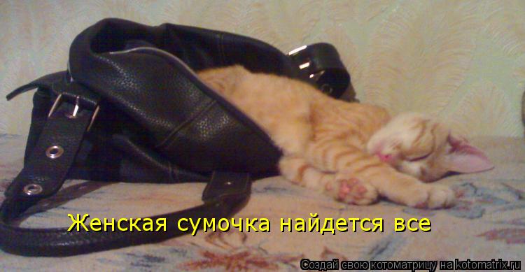 Женская сумочка найдется все... Котоматрица: Женская сумочка найдется все