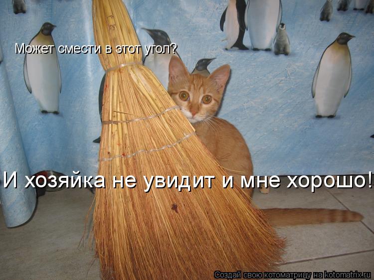 Может смести в этот угол? И хозяйка не увидит и мне хорошо!!!!!!!!!!!... Котоматрица: Может смести в этот угол? И хозяйка не увидит и мне хорошо!!!!!!!!!!!