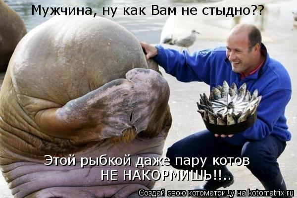 Мужчина, ну как Вам не стыдно?? Этой рыбкой даже пару котов НЕ НАКОРМИШЬ!!..... Котоматрица: Мужчина, ну как Вам не стыдно?? Этой рыбкой даже пару котов НЕ НАКОРМИШЬ!!..