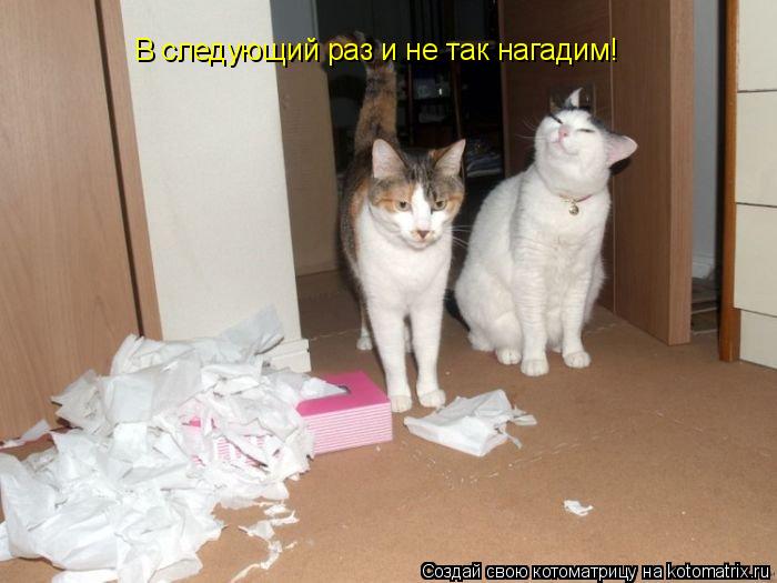В следующий раз и не так нагадим!... Котоматрица: В следующий раз и не так нагадим!