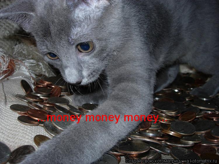 ...money money money...... Котоматрица: ...money money money...