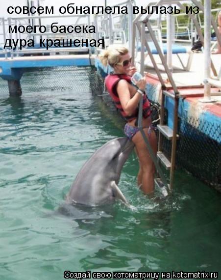 совсем обнаглела вылазь из моего басека дура крашеная... Котоматрица: совсем обнаглела вылазь из моего басека дура крашеная