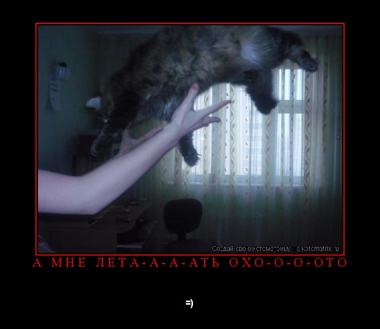 А мне лета-а-а-ать охо-о-о-ото =)... Котоматрица: А мне лета-а-а-ать охо-о-о-ото =)