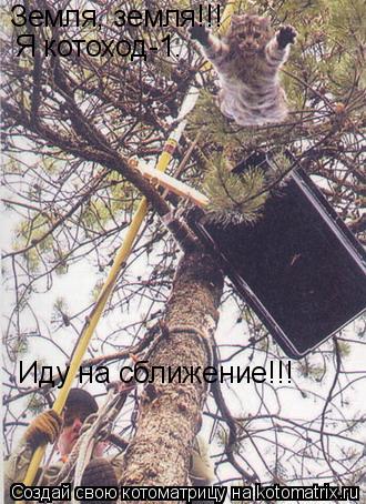 Земля, земля!!! Я котоход-1. Иду на сближение!!!... Котоматрица: Земля, земля!!! Я котоход-1. Иду на сближение!!!