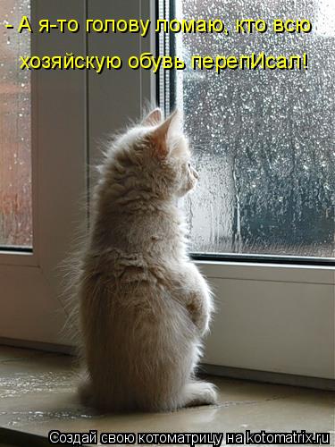 - А я-то голову ломаю, кто всю хозяйскую обувь перепИсал!... Котоматрица: - А я-то голову ломаю, кто всю хозяйскую обувь перепИсал!