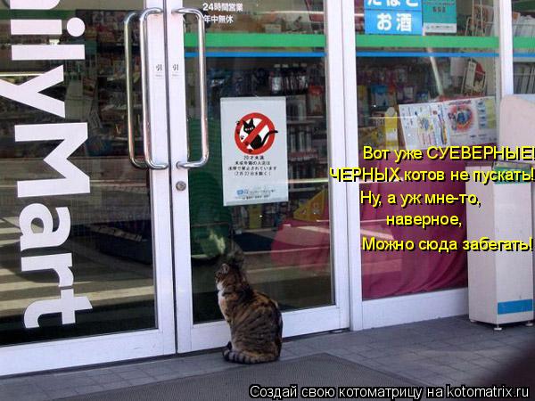 Вот уже СУЕВЕРНЫЕ! ЧЕРНЫХ котов не пускать! наверное, Можно сюда забегать! Ну, а уж мне-то,... Котоматрица: Вот уже СУЕВЕРНЫЕ! ЧЕРНЫХ котов не пускать! наверное, Можно сюда забегать! Ну, а уж мне-то,