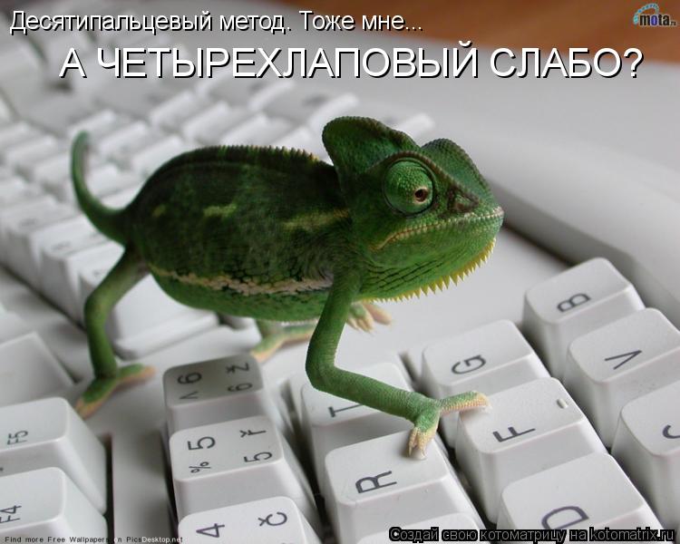 Десятипальцевый метод. Тоже мне... А ЧЕТЫРЕХЛАПОВЫЙ СЛАБО?... Котоматрица: Десятипальцевый метод. Тоже мне... А ЧЕТЫРЕХЛАПОВЫЙ СЛАБО?