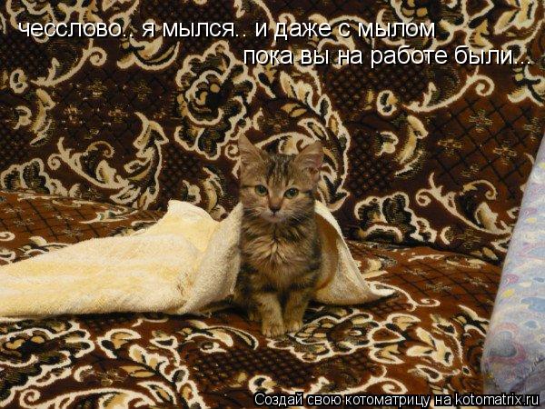 чесслово.. я мылся.. и даже с мылом пока вы на работе были...... Котоматрица: чесслово.. я мылся.. и даже с мылом пока вы на работе были...
