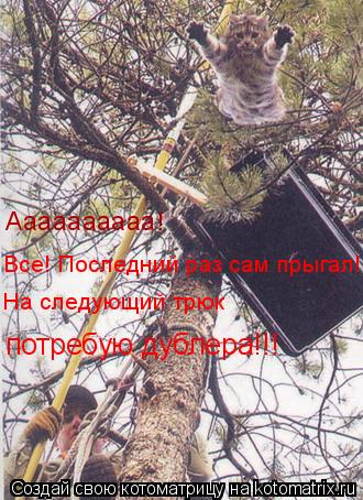 Аааааааааа! Все! Последний раз сам прыгал! На следующий трюк потребую дублера!!!... Котоматрица: Аааааааааа! Все! Последний раз сам прыгал! На следующий трюк потребую дублера!!!