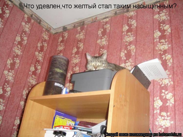 Что удевлен,что желтый стал таким насыщенным?... Котоматрица: Что удевлен,что желтый стал таким насыщенным?