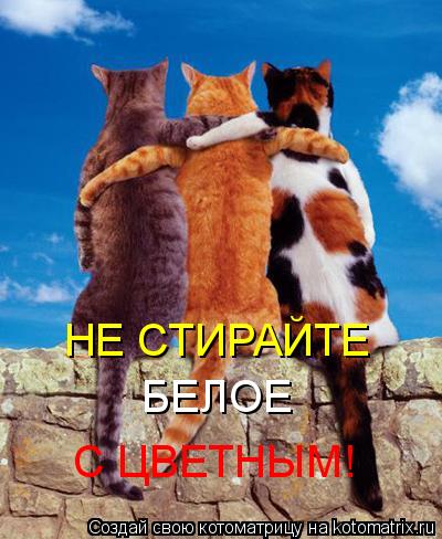 НЕ СТИРАЙТЕ БЕЛОЕ С ЦВЕТНЫМ!... Котоматрица: НЕ СТИРАЙТЕ БЕЛОЕ С ЦВЕТНЫМ!