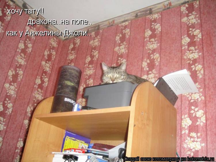 хочу тату!! дракона..на попе.. как у Анжелины Джоли..... Котоматрица: хочу тату!! дракона..на попе.. как у Анжелины Джоли..