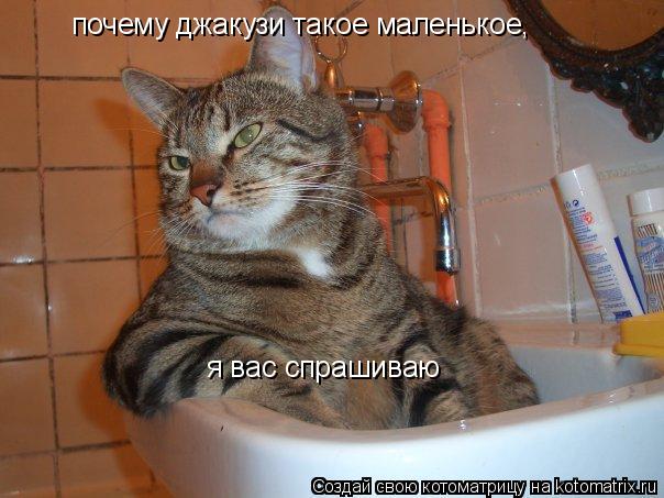 почему джакузи такое маленькое, я вас спрашиваю... Котоматрица: почему джакузи такое маленькое, я вас спрашиваю