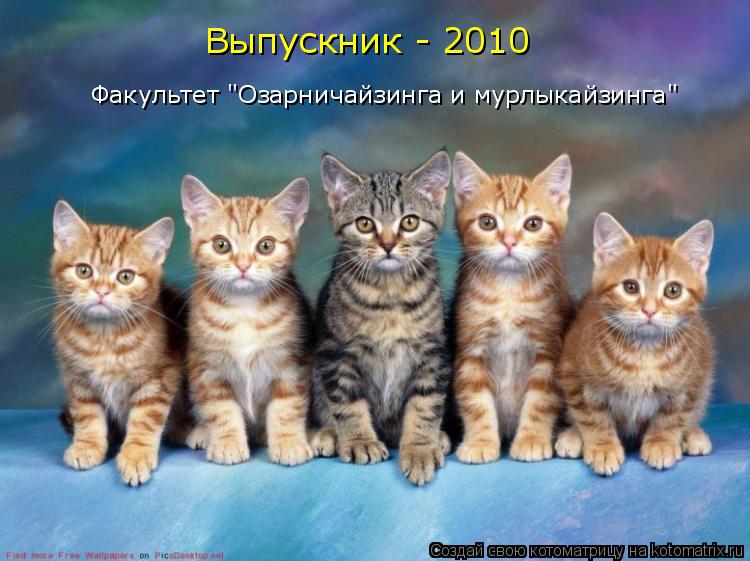 Выпускник - 2010 Факультет "Озарничайзинга и мурлыкайзинга"... Котоматрица: Выпускник - 2010 Факультет "Озарничайзинга и мурлыкайзинга"