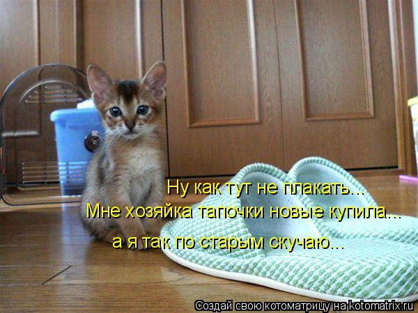 Ну как тут не плакать... Мне хозяйка тапочки новые купила... а я так по старым скучаю...... Котоматрица: Ну как тут не плакать... Мне хозяйка тапочки новые купила... а я так по старым скучаю...